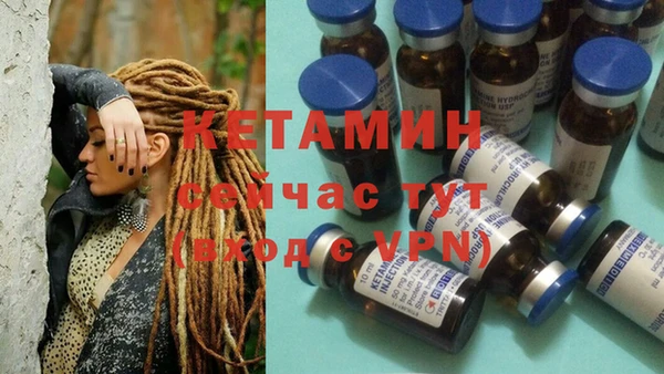 сатива Баксан