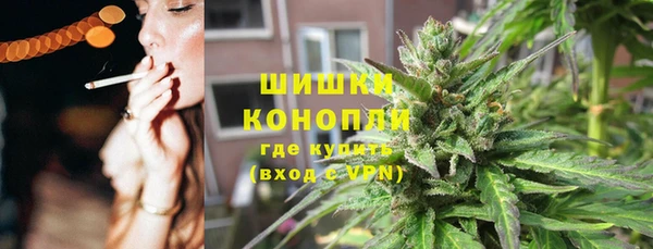 сатива Баксан