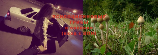 мескалин Балахна