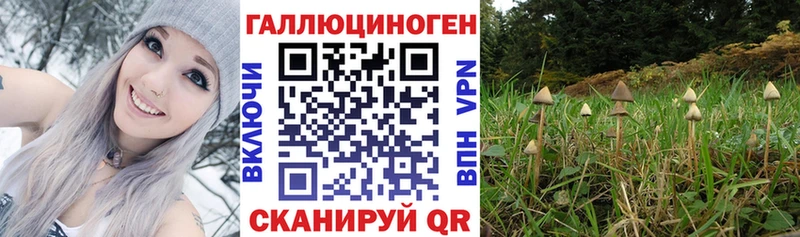 Псилоцибиновые грибы мицелий  гидра   Краснокаменск 